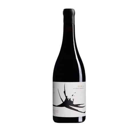 Rubus la viña de Báguena 2019